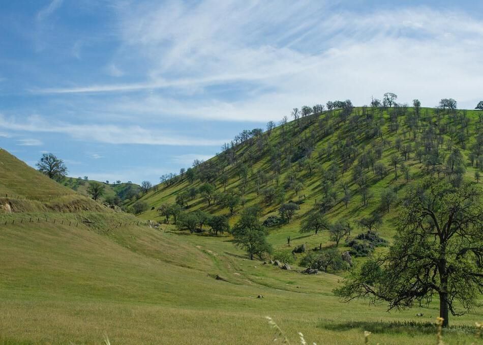 #33. Tulare County, California